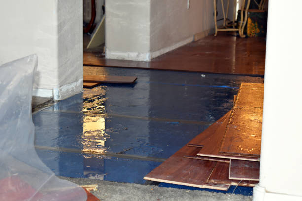 Professional Sewage Cleanup technician working in Abington, MA